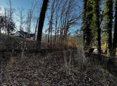 Fletcher Land- Westview - Image# 9