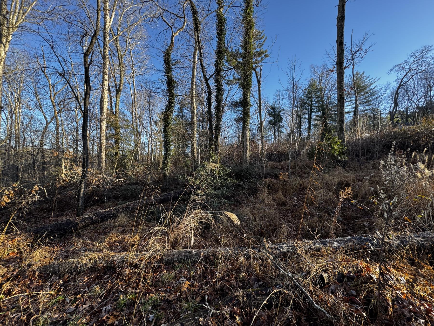 Fletcher Land- Westview - Image# 8