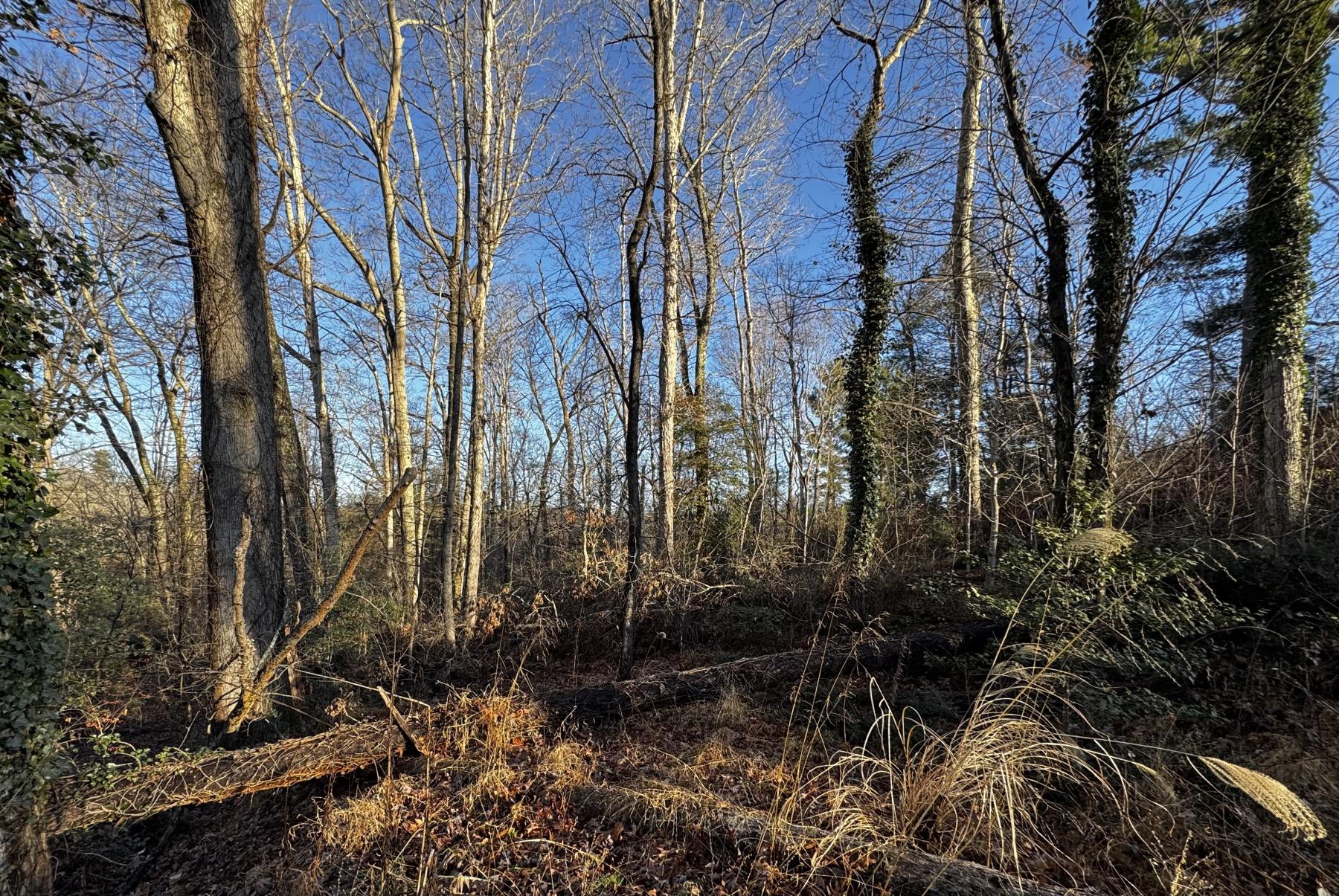 Fletcher Land- Westview - Image# 7