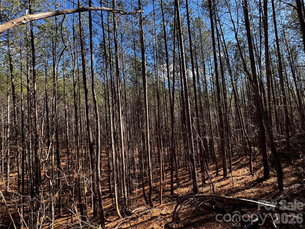 Contuck Preserve Lot - Image# 8