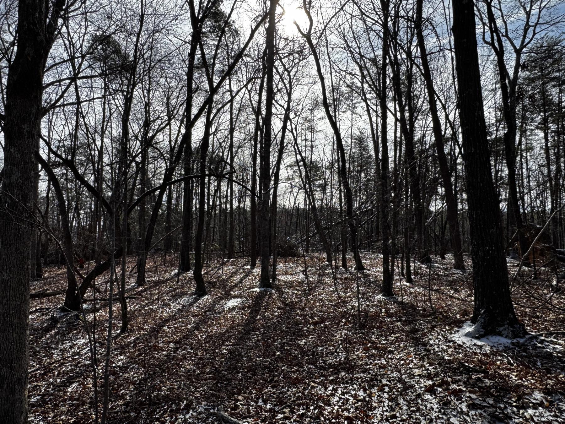 170 Acres WNC - Image# 8