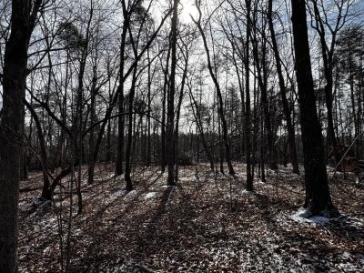 170 Acres WNC - Image# 8