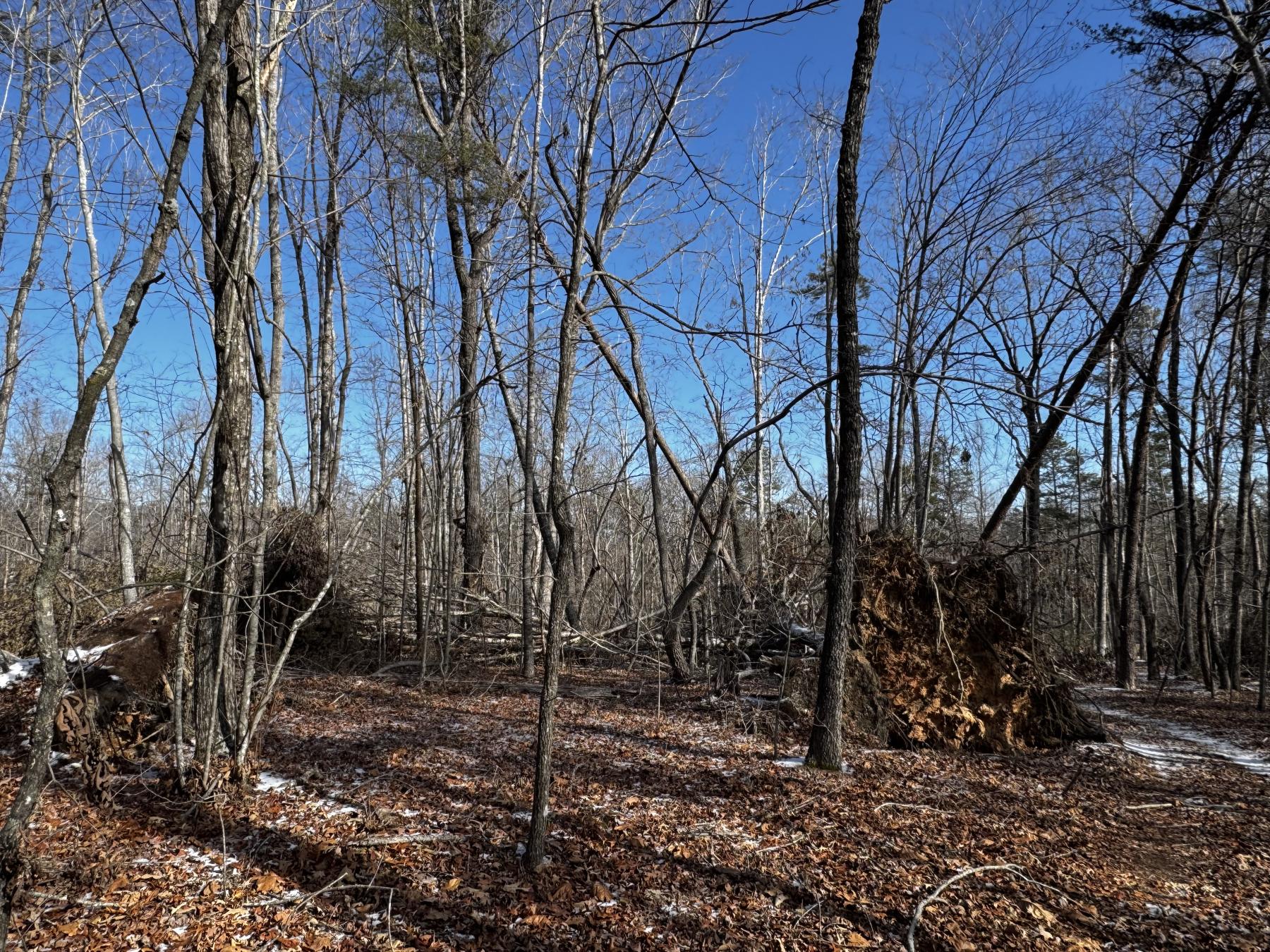 170 Acres WNC - Image# 9