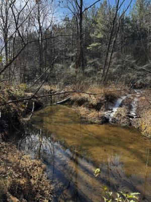 170 Acres WNC - Image# 3