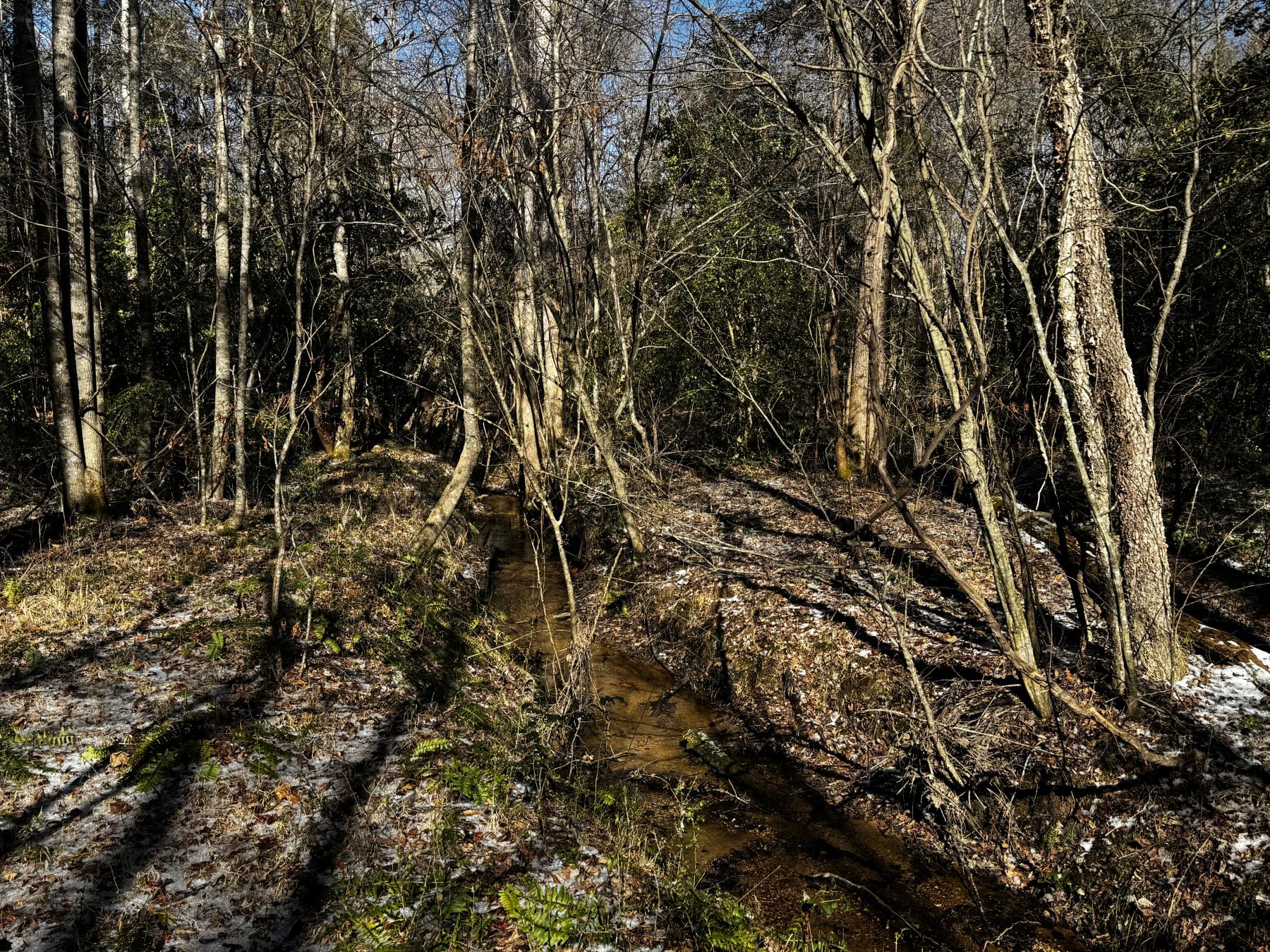 170 Acres WNC - Image# 12