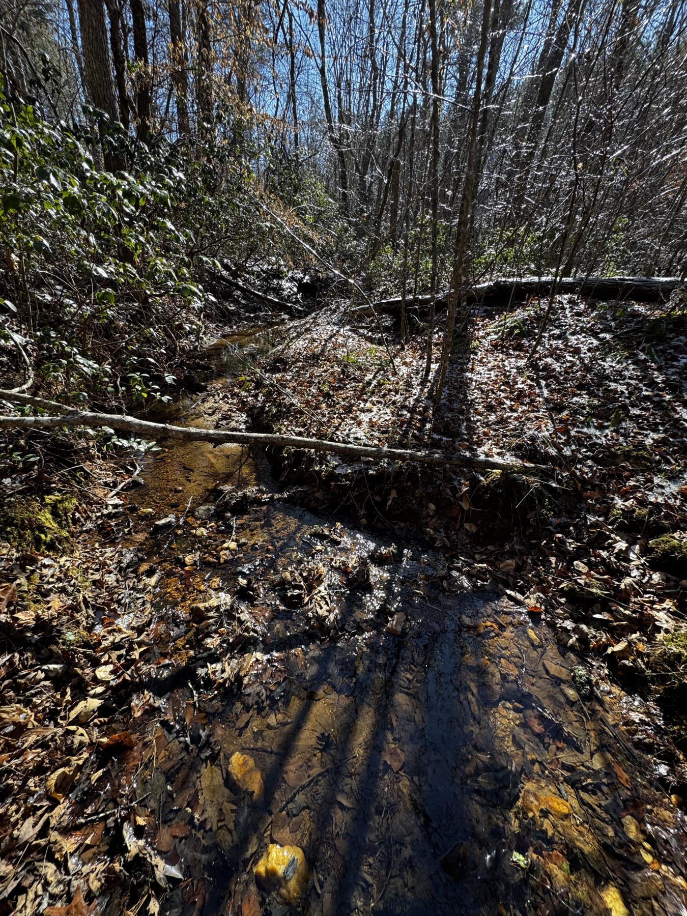 170 Acres WNC - Image# 15