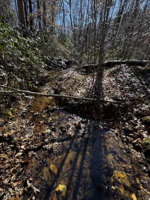 170 Acres WNC - Image# 15