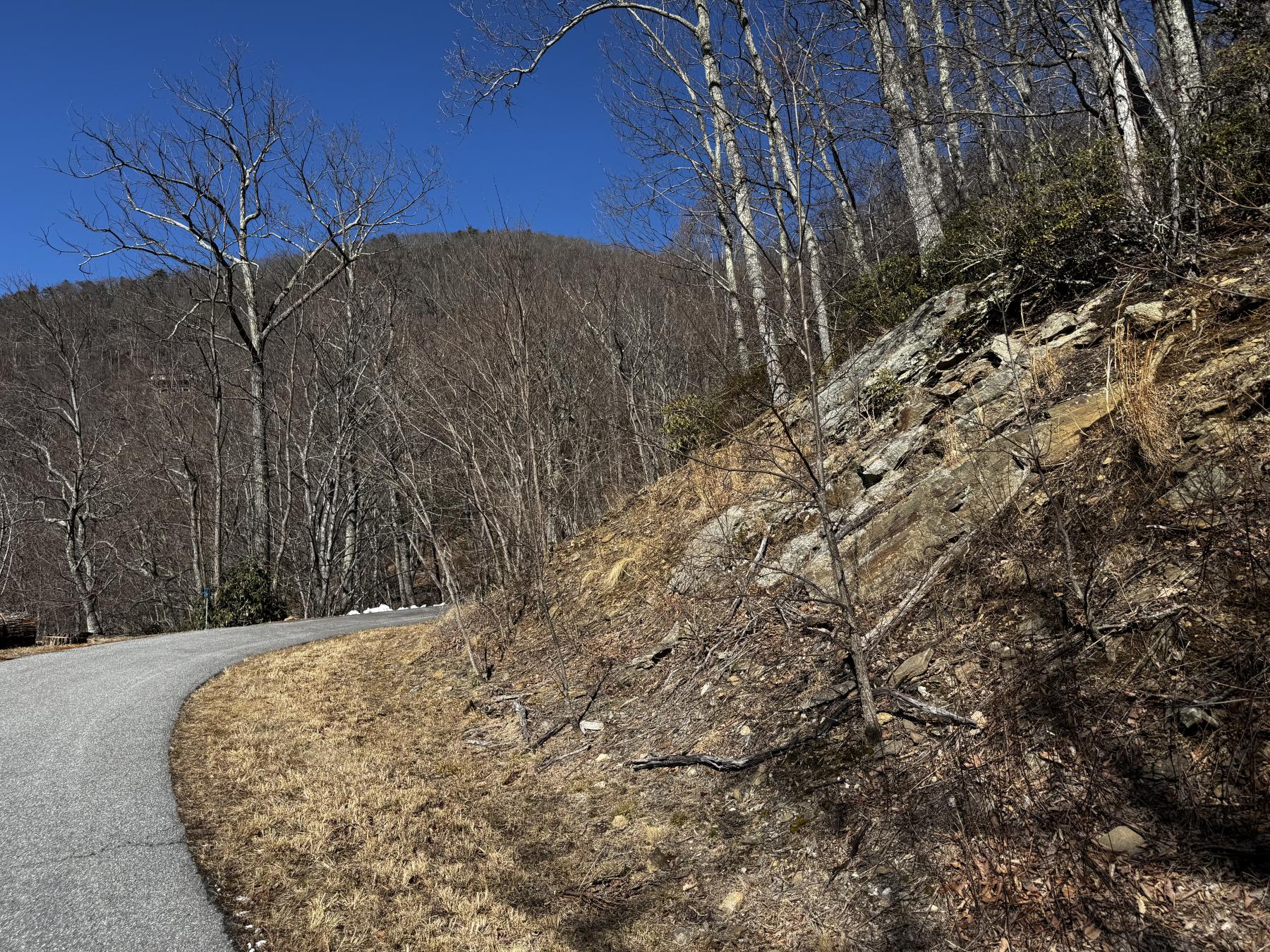 Laurel Ridge Lot - Image# 17