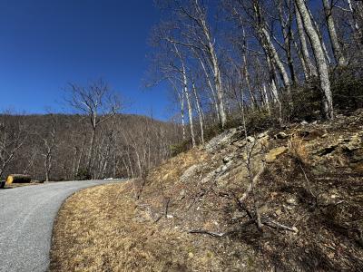 Laurel Ridge Lot - Image# 16