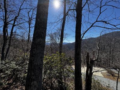 Laurel Ridge Lot - Image# 14