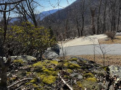 Laurel Ridge Lot - Image# 11