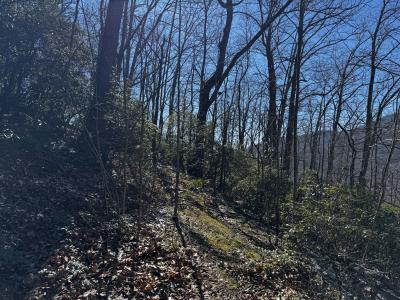 Laurel Ridge Lot - Image# 8