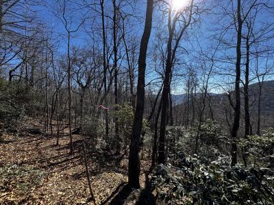 Laurel Ridge Lot - Image# 4