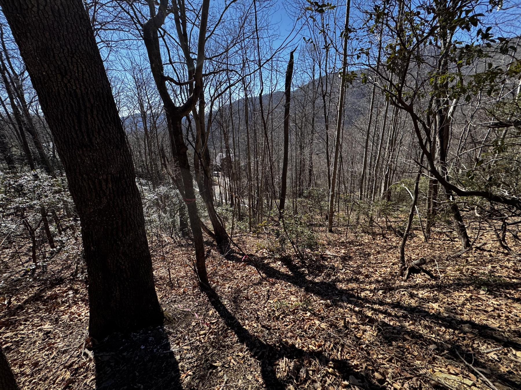 Laurel Ridge Lot - Image# 6