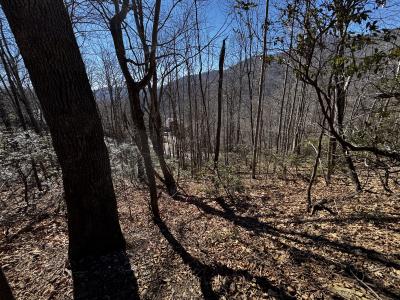 Laurel Ridge Lot - Image# 6