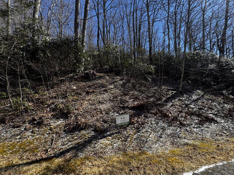 Laurel Ridge Lot - Image# 3