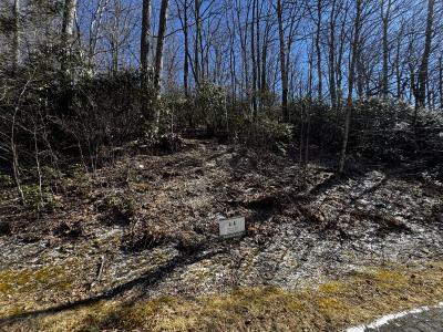 Laurel Ridge Lot - Image# 3