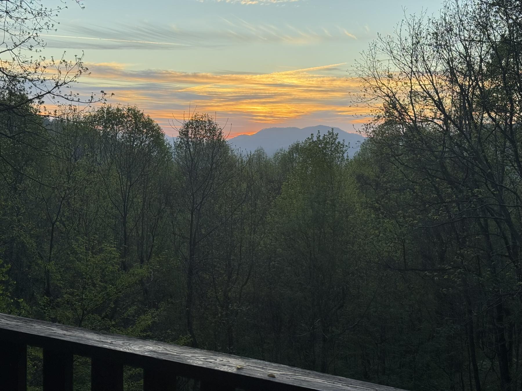 Waynesville Year Round Views - Image# 1