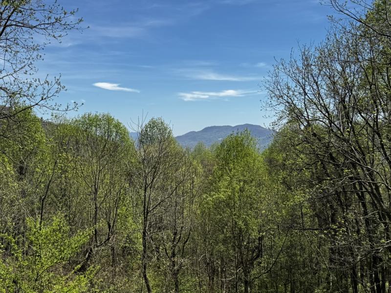Waynesville Year Round Views - Image# 5