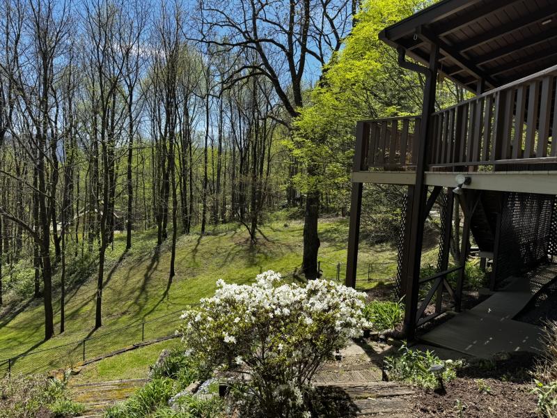 Waynesville Year Round Views - Image# 7