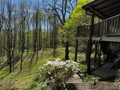 Waynesville Year Round Views - Image# 7