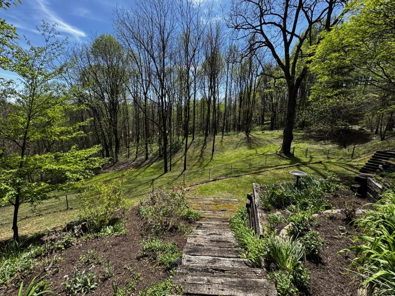 Waynesville Year Round Views - Image# 8