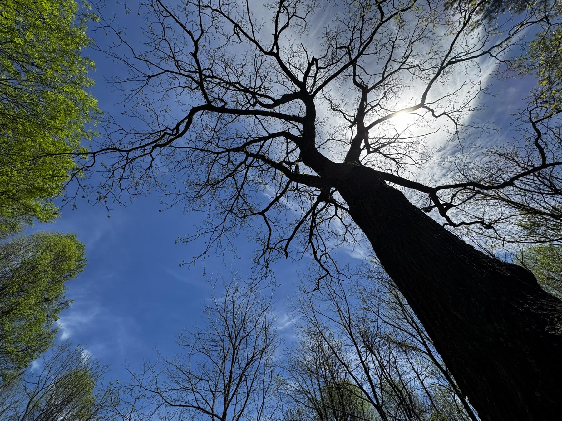 Waynesville Year Round Views - Image# 11