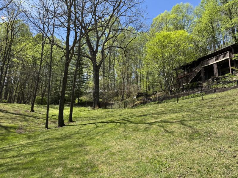 Waynesville Year Round Views - Image# 13