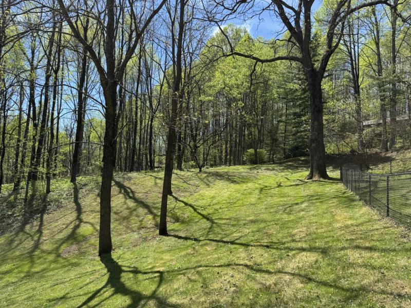 Waynesville Year Round Views - Image# 14