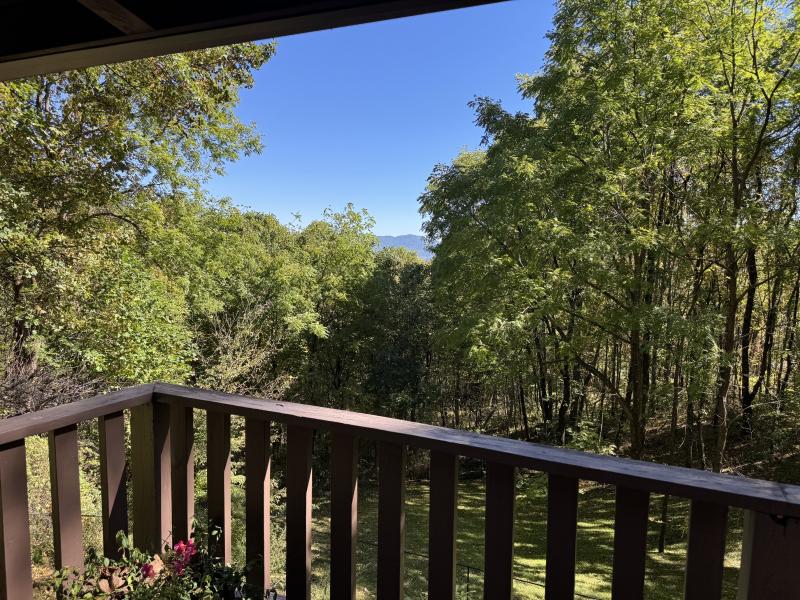Waynesville Year Round Views - Image# 9