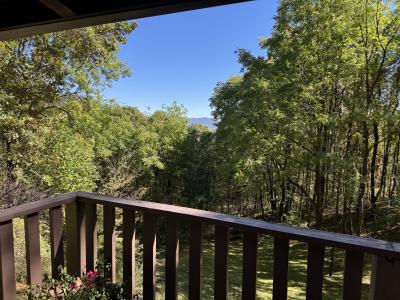 Waynesville Year Round Views - Image# 9