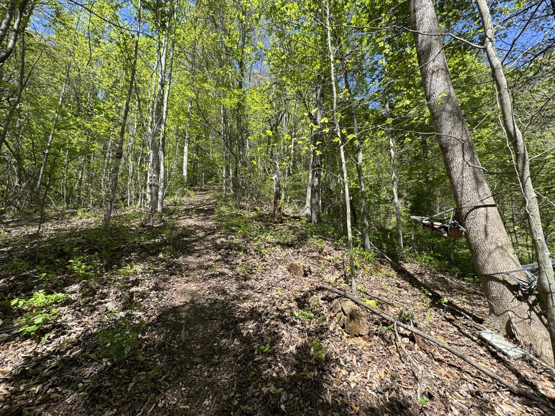 Marshall Home - Image# 26