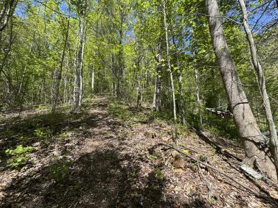 Marshall Home - Image# 26