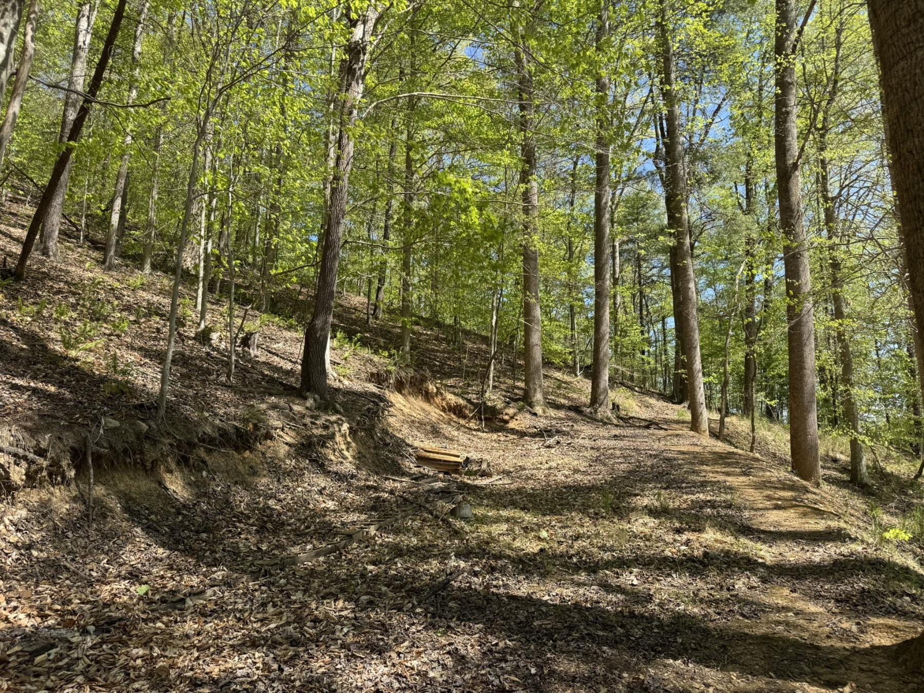 Marshall Home - Image# 30