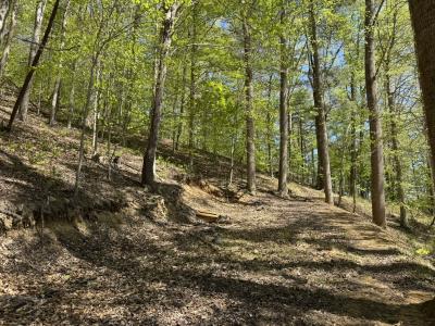 Marshall Home - Image# 30