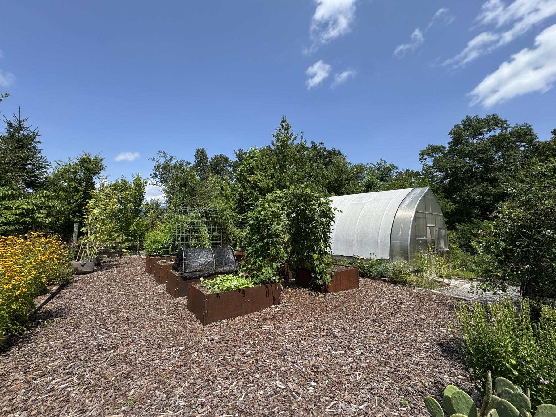 High Hickory Lot - community garden