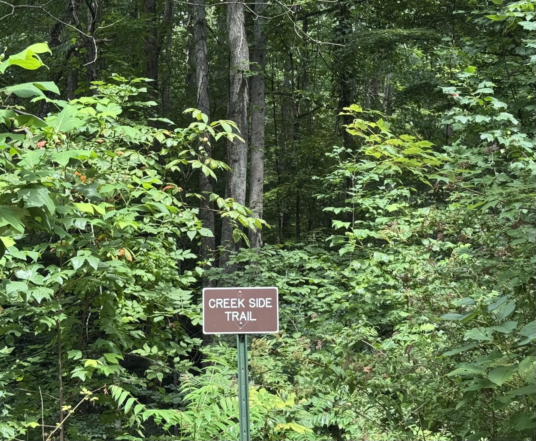 High Hickory Lot - community trails