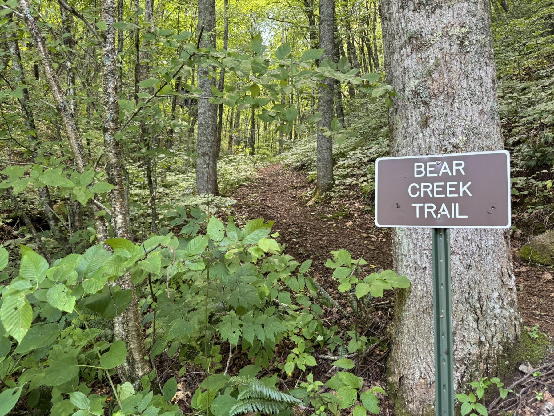 High Hickory Lot - community trails