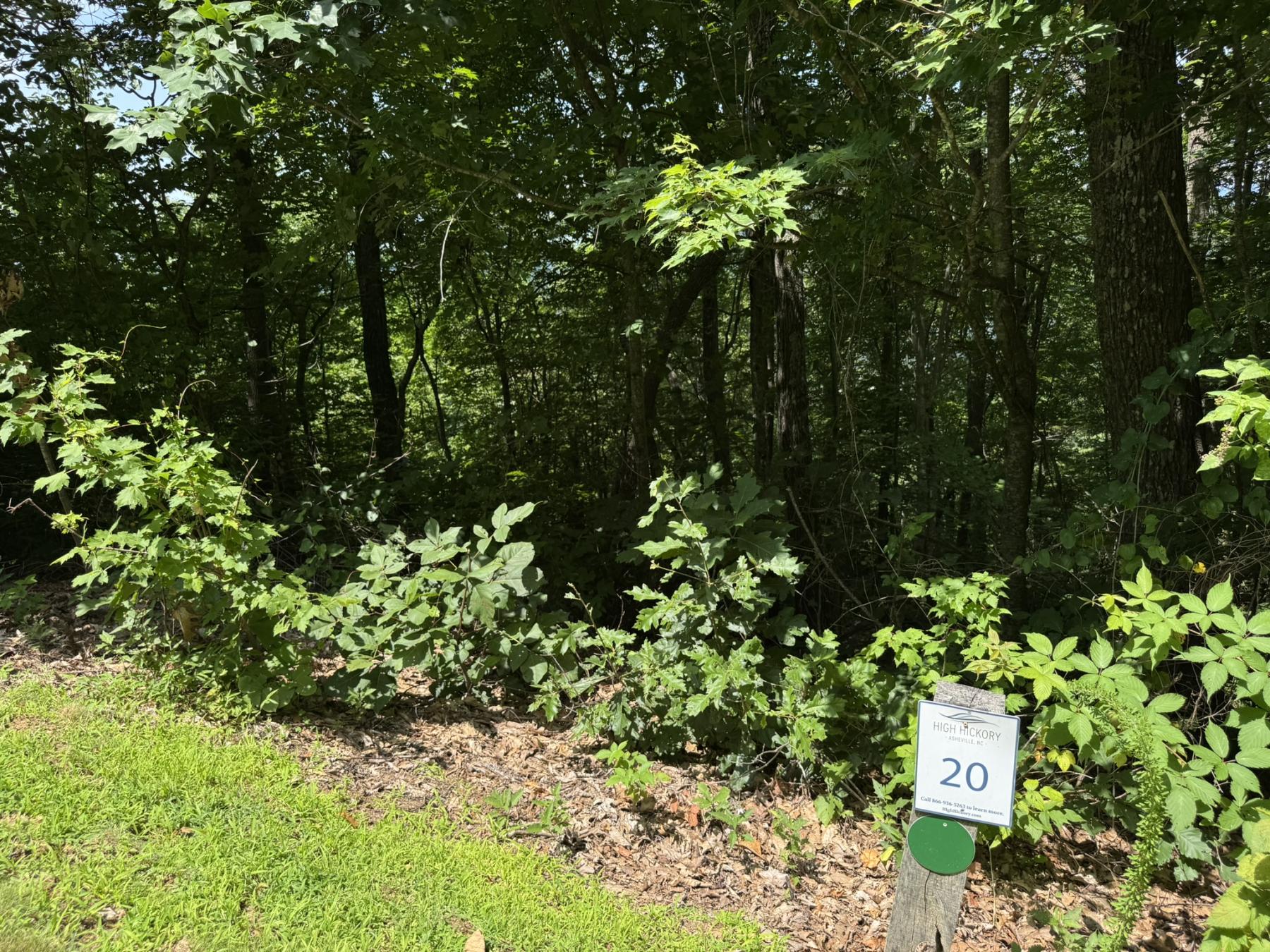 High Hickory Lot - Image# 5