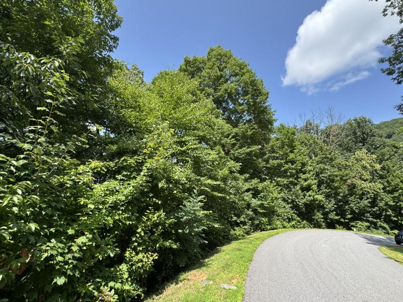 High Hickory Lot - Image# 12