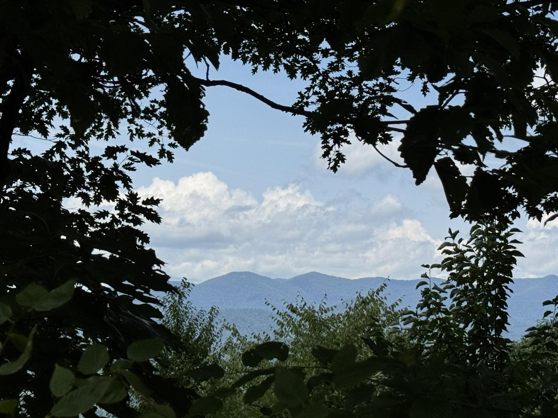 High Hickory Lot - Image# 2