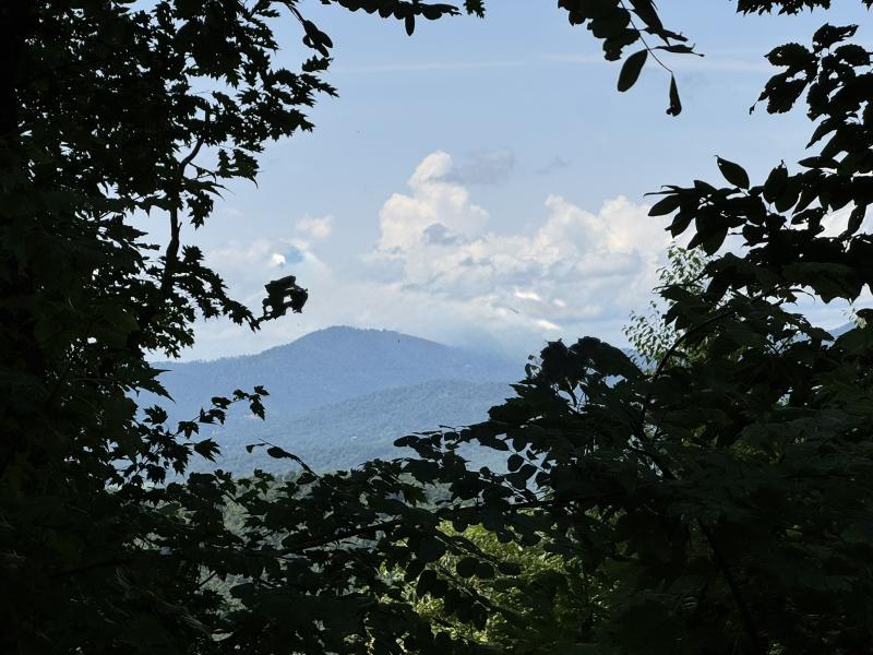 High Hickory Lot - Image# 1