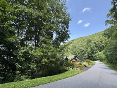 High Hickory Lot - Image# 14