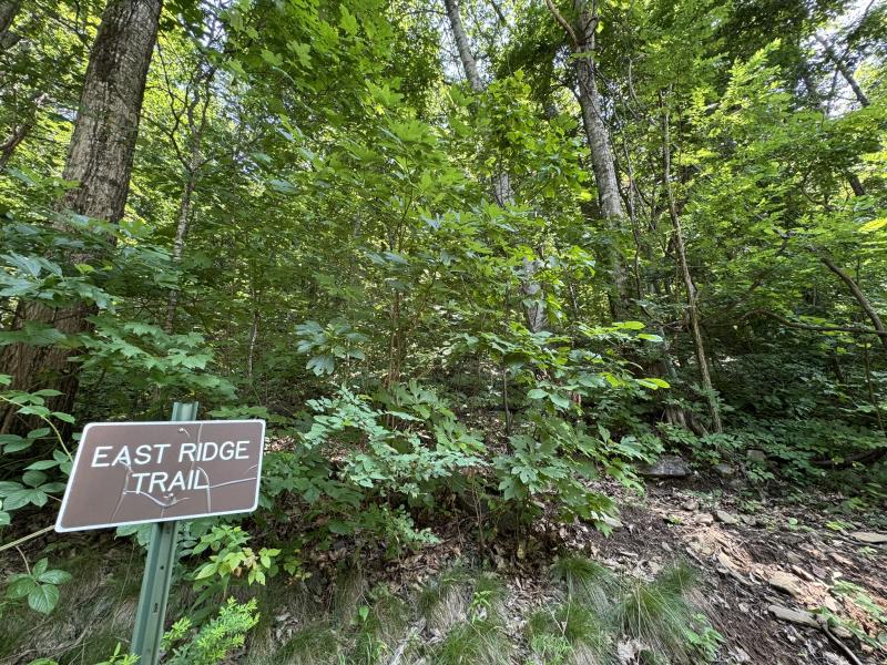 High Hickory Lot - Image# 16