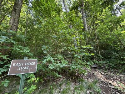 High Hickory Lot - community trails